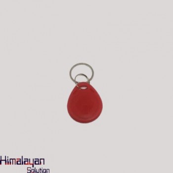 Rfid Keyring