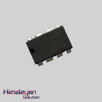 Ds 1307 IC